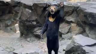 "Principal, why bother doing this again?"