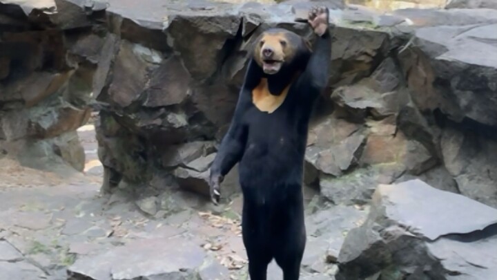 Nguyên trưởng, việc này cần gì phải thế chứ