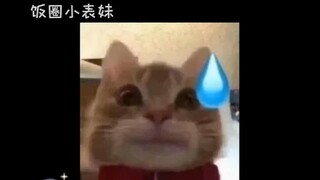 "甘肃地震 真是给我整笑了，不心慌？？那可是逃命啊！