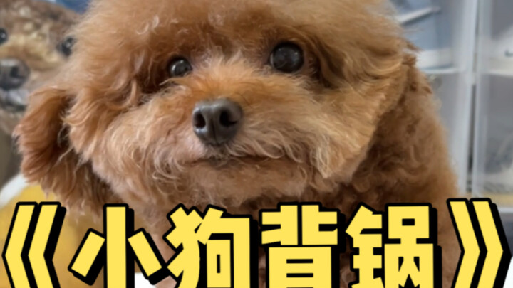 Recording Beautiful Life…4