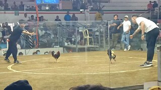 AEJ ( talisay) vs Pitblade