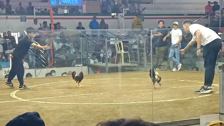 AEJ ( talisay) vs Pitblade