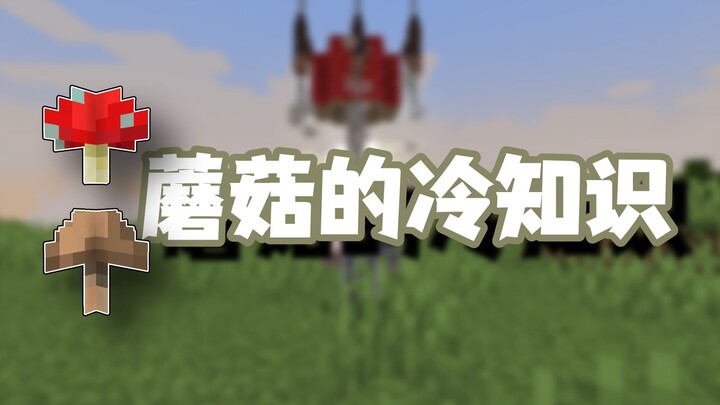 Minecraft Trivia: What Little Secrets Could Tiny Mushrooms Be Hiding?