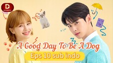 A.G.D.T.B.A.D episode 10 sub Indo