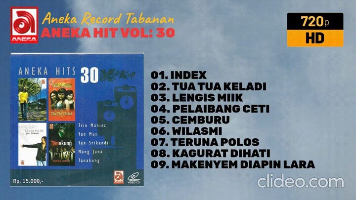 Aneka Record: ANEKA HIT VOL : 30 (2007)