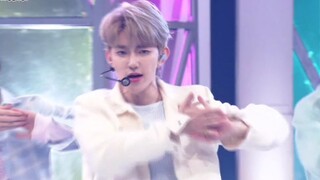 ZB1日本出道曲YURA YURA【命运之花】240331日本舞台