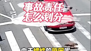 这起事故，你认为是谁的责任！#汽车知识 #每天一个用车知识 #带你懂车