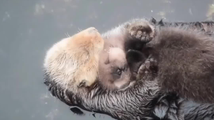 ให้ความอบอุ่นแก่ทารก