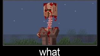 Minecraft wait what meme part 259 (Mutant Villager)【搬运】