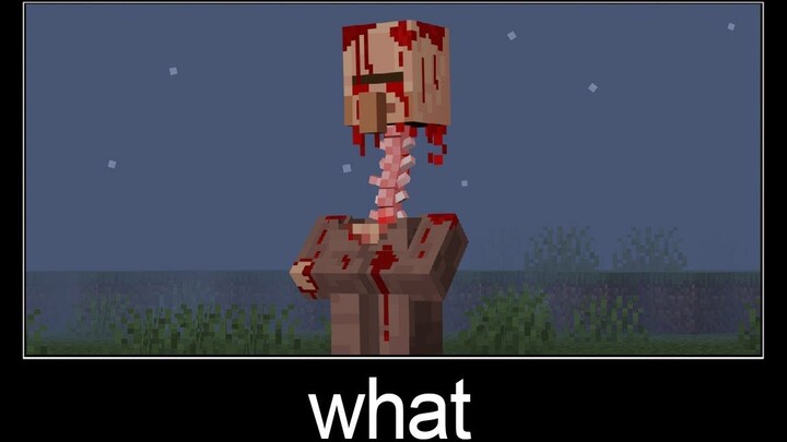 Minecraft wait what meme part 259 (Mutant Villager)【搬运】
