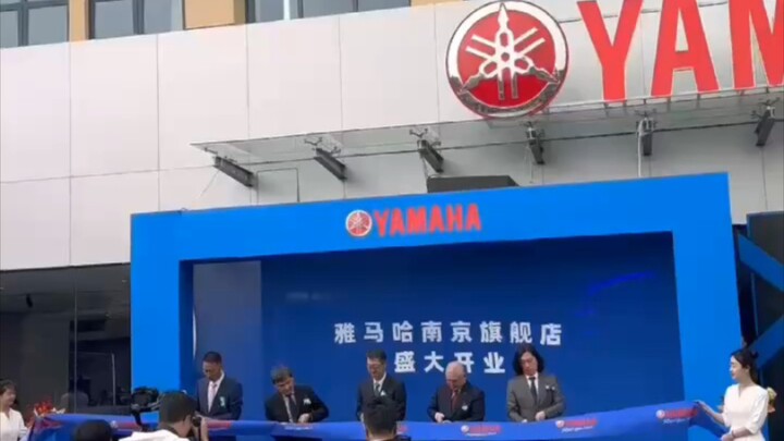 Life really doesn’t mesh well with Nanjing—Japanese-brand cars keep getting into accidents whenever 