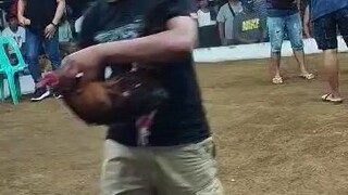 2 hits win