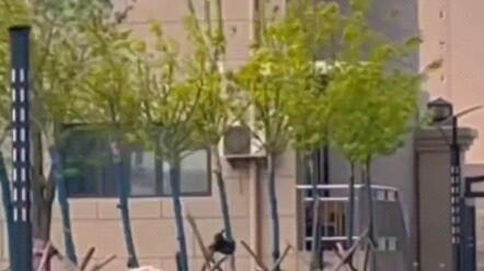 ลมแรงพัดมา ฉันทะยานสู่ฟ้า