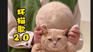 "Bad Cat Song" netizen-written version! The bad cat has escaped, please cooperate in checking your c