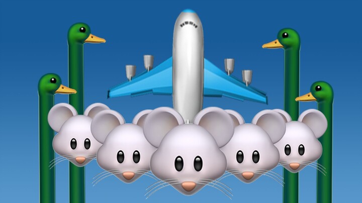【emoji】Vịt vịt, chúng ta đến đón bạn về nhà rồi