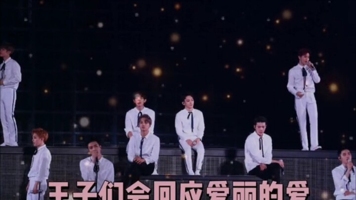 [EXO] Fans’ Heart-Pounding Support at the Concert!