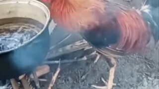 如果下锅的是你呢