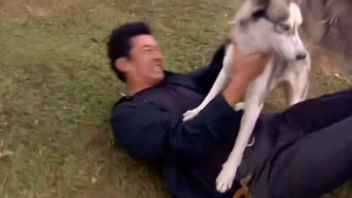 This drama is too crazy. It's so popular.