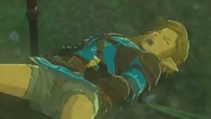[The Legend of Zelda: Tears of the Kingdom Cut] A woman played TotK for two straight months—this is 