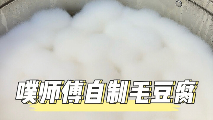 Master Pu takes on the challenge of making hairy tofu from homemade bean curd—will he succeed?