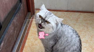 Trời ạ, ngồi nép vào góc suy nghĩ mãi mà vẫn không hiểu nó đã làm sai điều gì.