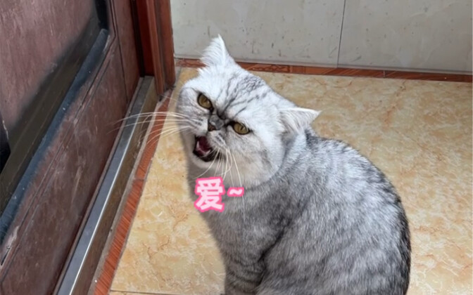 يا إلهي، وقفت في الزاوية أفكر طويلاً ولم أستطع أن أفهم ما الخطأ الذي ارتكبته.