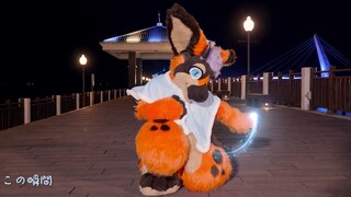 【Fursuit Dance】Ngôi sao xanh Dumbo / Danbo