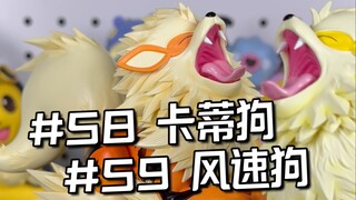 宝可梦全图鉴开箱#59: 真新镇风速狗进化组