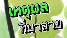 เหตุผล ที่มาสาย #ตลกฮาฮา #นิยายเสียง