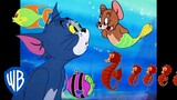 Tom et Jerry en Français 🇫🇷 | Aventures de poissons 🦈 | WBKids
