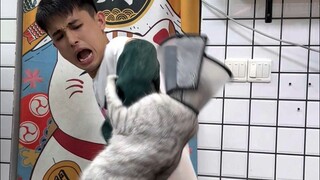 แชมพูและครีมนวดสีเงินชั้นเลวร้าย