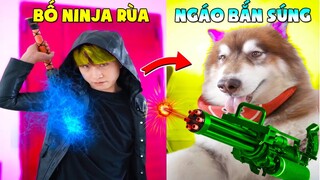 Thú Cưng Vlog | Ngáo Husky Troll Bố #22 | Chó husky thông minh vui nhộn | Smart dog funny pets