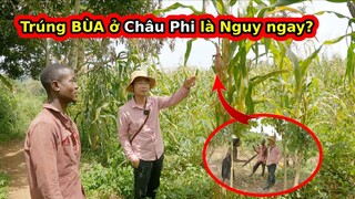 Tập 174: Cách người châu Phi yểm Bùa Giữ đồ||2Q Vlogs Cuộc sống châu Phi