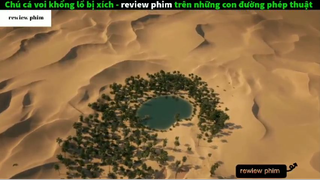 Tóm tắt phim Trên những con đường phép thuật 2 #phimhayreview