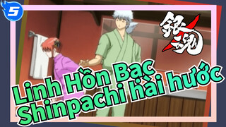 [Linh Hồn Bạc] Những cảnh vui nhộn trong anime (Phần 4) - Phúc lợi của Shinpachi_5