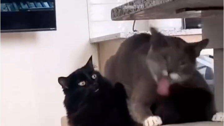 When You First Start a Relationship with a Caring Guy