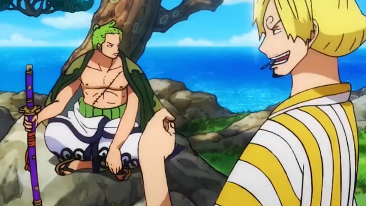 Zoro VS Sanji - the LOVE of KILL between brothers who cheated each other
