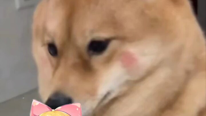 ลูกกวาดอร่อยสุดๆ