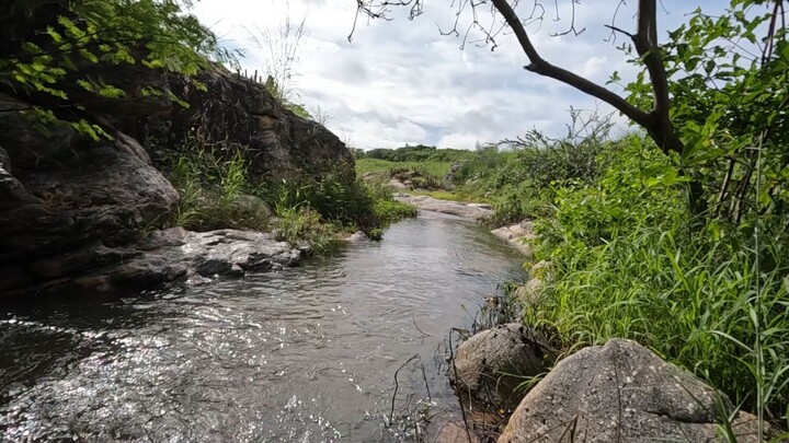 UM RIACHO NA CAATINGA