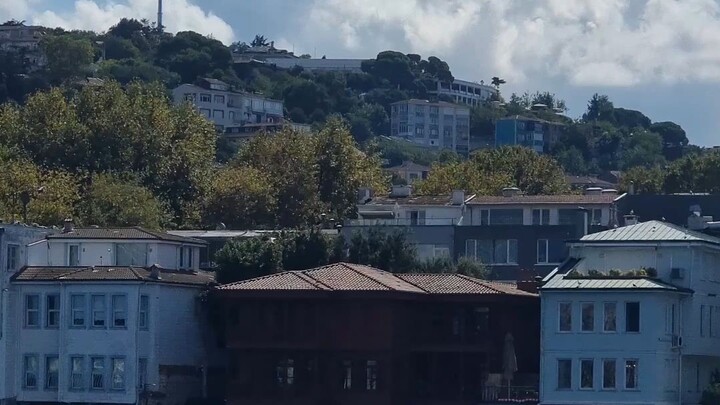 Eine malerische Bootsfahrt entlang der historischen Yalı-Villen am sonnigen Bosporus. 🌊☀️