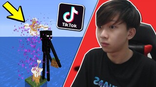 Khi 9999 Mũi Tên Cắm Vào Enderman - THỬ NGHIỆM CÁC VIDEO TIKTOK MINECRAFT TRIỆU VIEW (Phần 1)