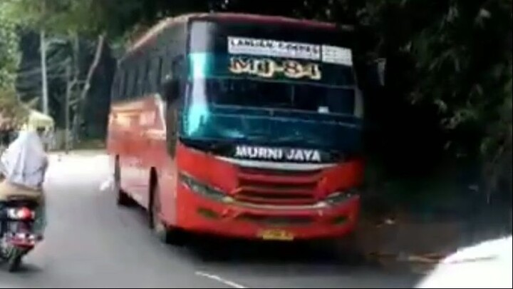 Murni Jaya 84 (MJ-84) A 7790 KC (Labuan - Kalideres)