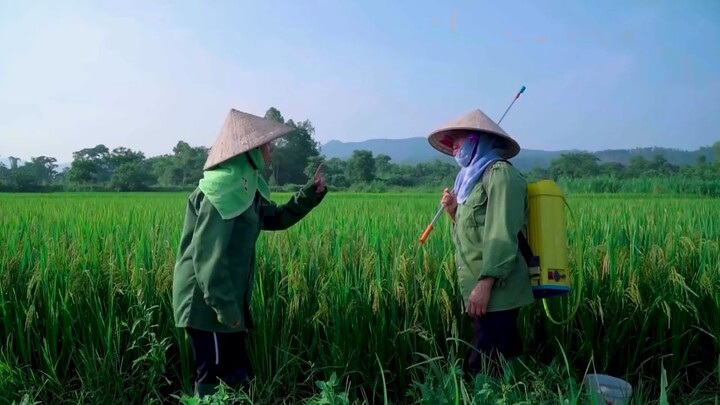 Cuôc Chiến Ngoài Đồng _ Gia Đình Bất Ổn NMT Vlog