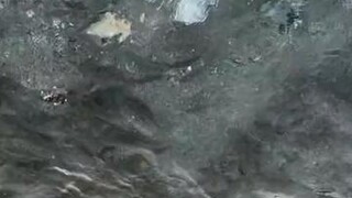 ทำไมผมเห็นแล้วอยากไปจับปลา555????