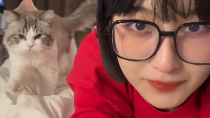 Kucing yang semakin manja