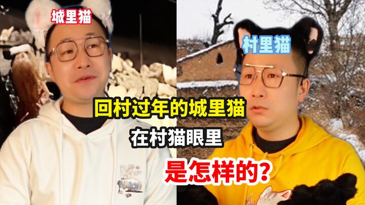 ما مدى الإحراج الذي تشعر به القطة العائدة إلى القرية في عالم القطط؟