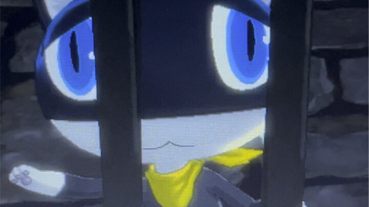 วิดีโอขอความช่วยเหลือของลูกแมวน่ารักที่ถูกกักขัง