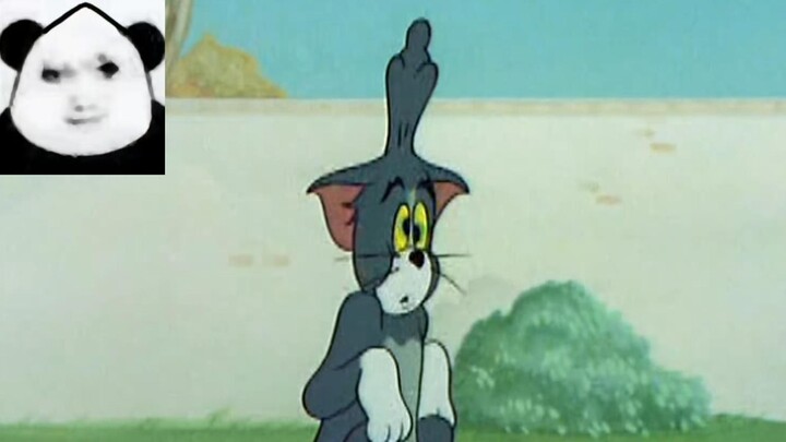 ☝🤓 لماذا قمة رأسك مدببة هكذا؟⚡⚡⚡