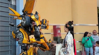 当大黄峰遇上汉服小姐姐时瞬间变得有点矜持起来