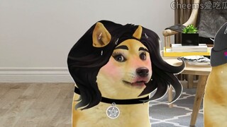 ความผิดของใคร?